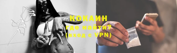 spice Алзамай