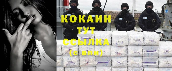spice Алзамай