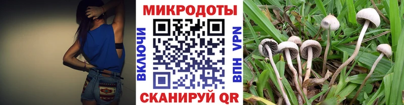 Купить где Верхний Тагил Галлюциногенные грибы прущие грибы